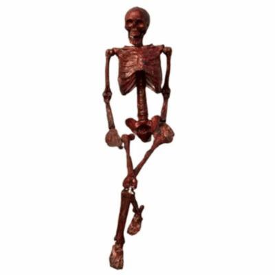 ھﯿﻜﻞ ﻋﻈﻤﻰ ﻣﺤﺮوق